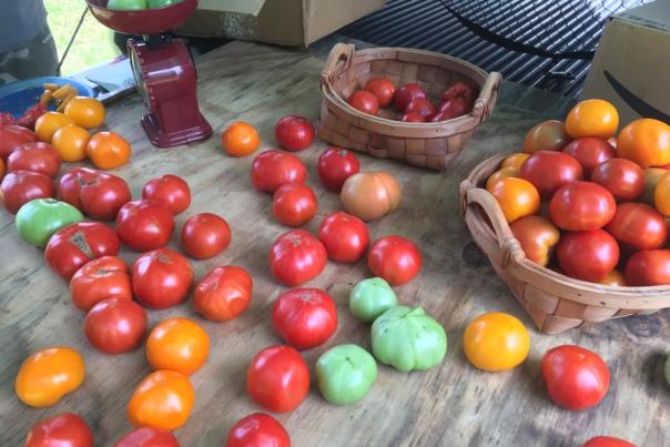 Farmers Market