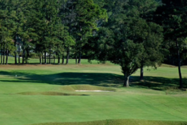 Holston Hills