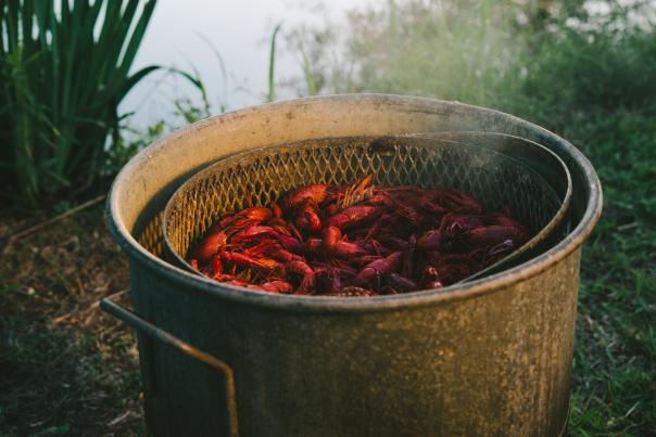 Pot of Boiled Crawfish