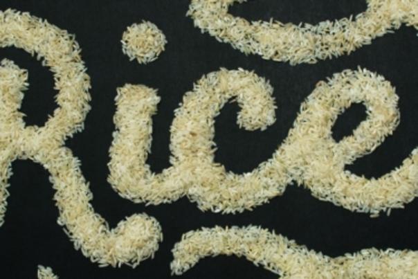 artwork made from rice