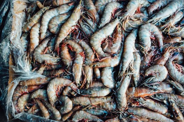 Gulf Seafood - Lance Nacio, Shrimp