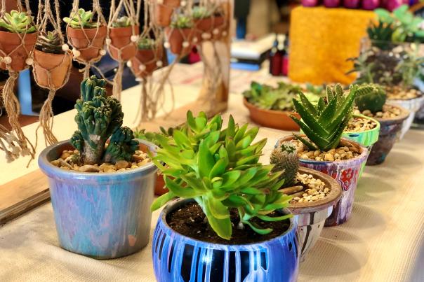 Buckners Botanica