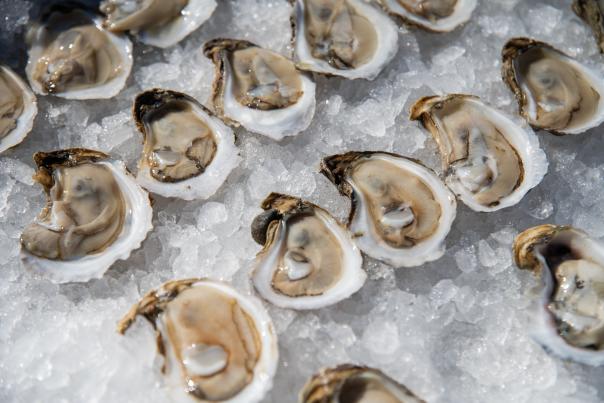Oysters at Louisiana Fur & Wildlife Festival