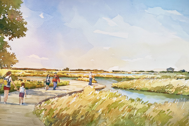 Coastal Flood Risk Reduction