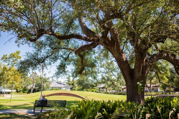 the grove at heritage square