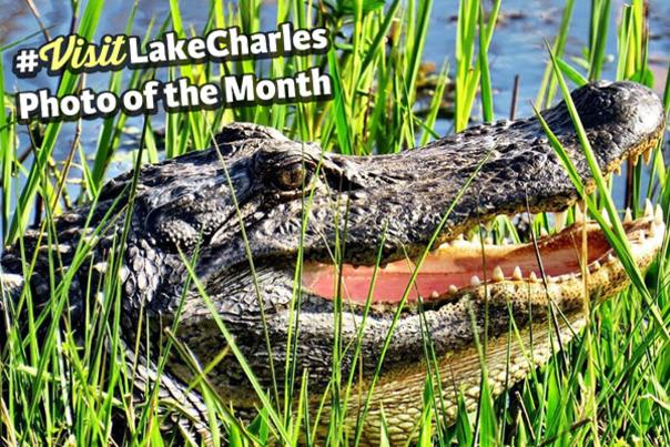 #VisitLakeCharles: Photo of the Month
