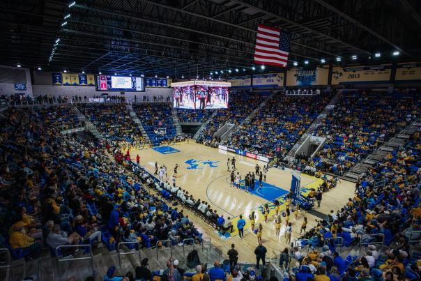 Townsley Law Arena McNeese Basketball