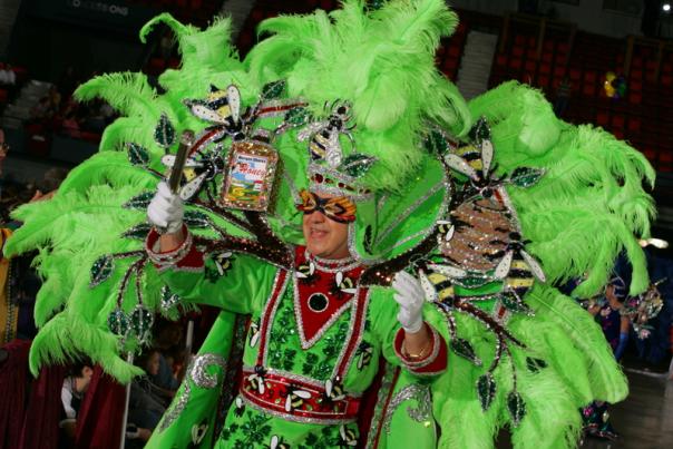 Mardi Gras Mambo in Green Feathers