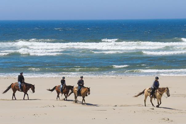 C&M Stables Horseback Riding on Beach