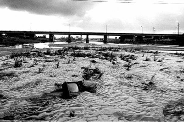 The Ditch
