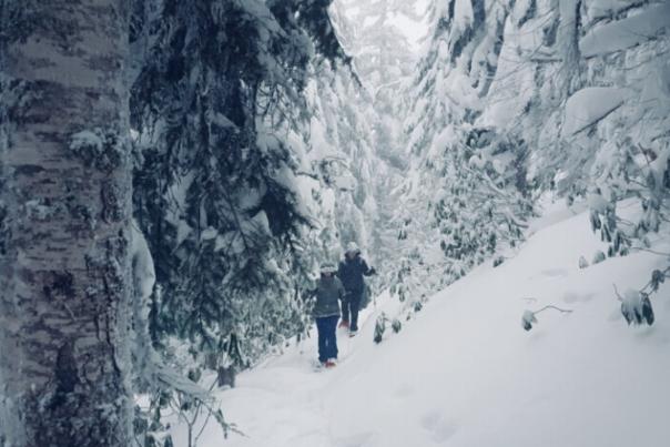 Snowshoeing the PCT