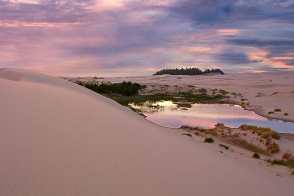 Oregon Dunes National Recreation Area, Florence, Oregon Coast by Curt Peters