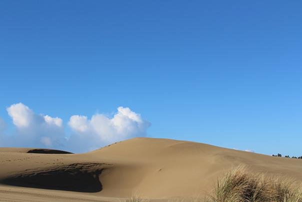 Oregon Coast Sand Dunes by Angie Riley