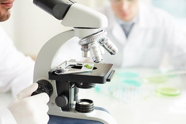 Clinician Studying Bio Sample In Microscope by Graphic Stock