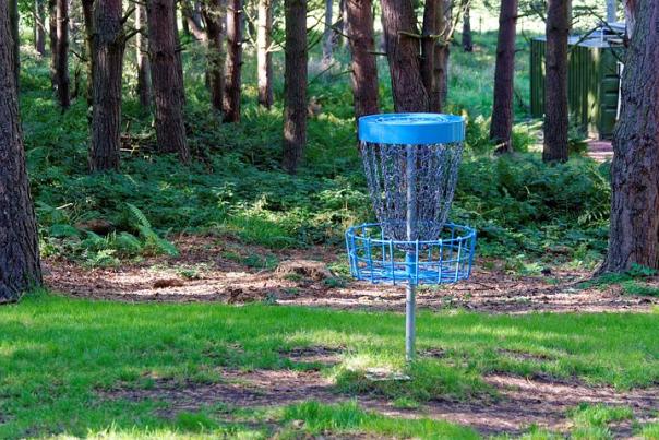 Disc golf Cage