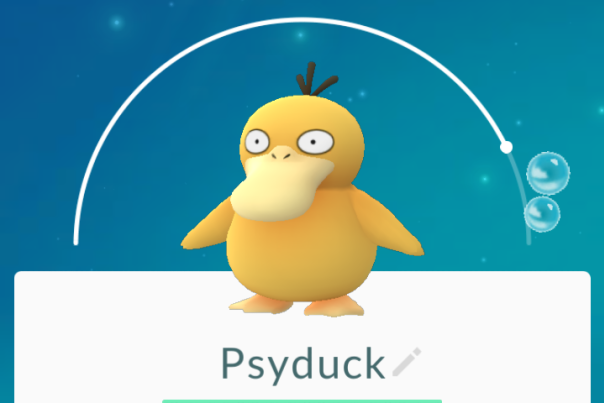 Catch of the Day
