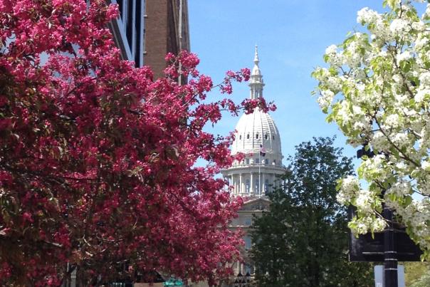 Spring Capitol