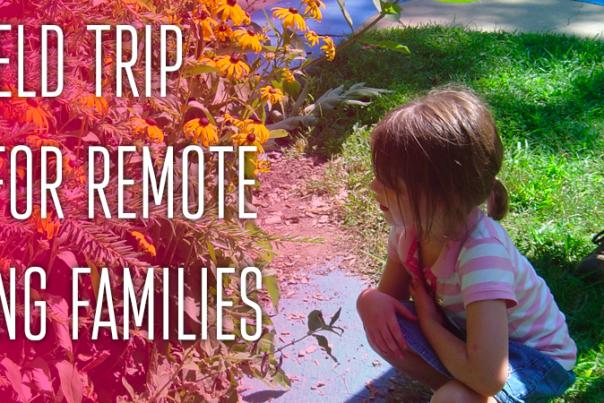 10+ Field Trip Ideas for Remote Learning Families