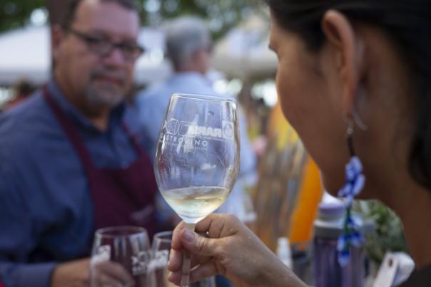Gastro Vino