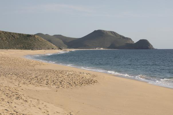 Playa Todos Santos