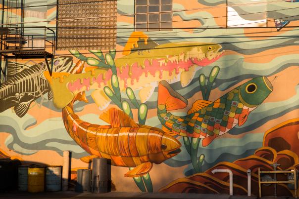 large colorful fish painted on wall