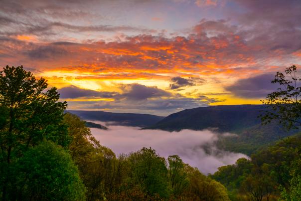 Clare Kaczmarek, Baughman Rock, Ohiopyle State Park