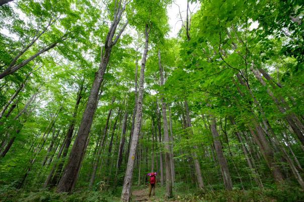 Gabriel Faria, Laurel Highlands Hiking Trail (2)