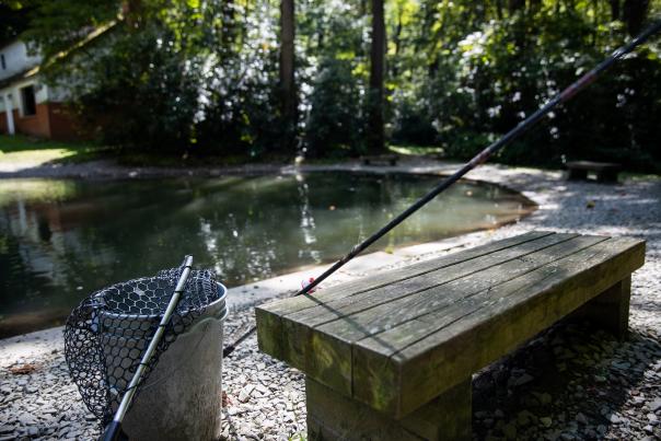 Laurel Highlands Trout Farm
