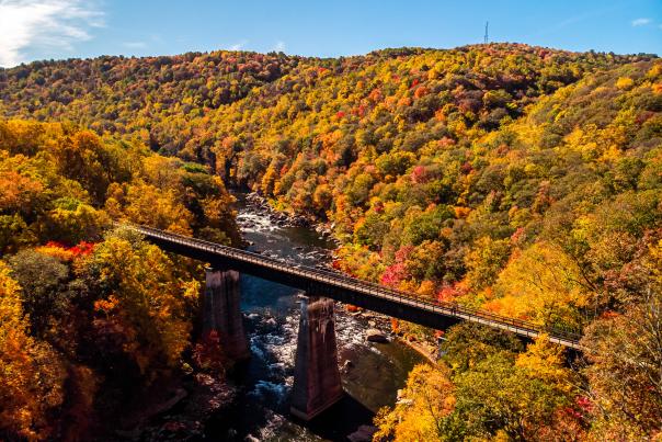 Ohiopyle GAP Fall