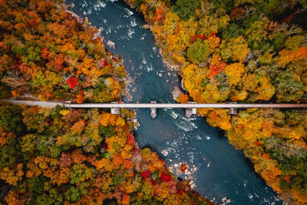 Ohiopyle State Park is one of the spots in the Laurel Highlands known for stunning fall foliage.