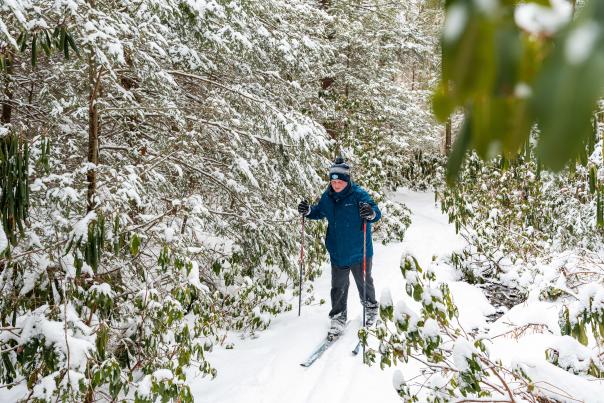 Laurel Mountain can be a scenic wonder in the winter