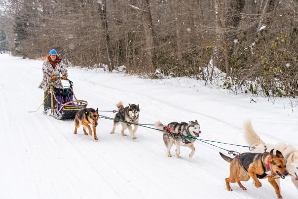 Carmen Rose loves going on sled runs with her team of dogs.