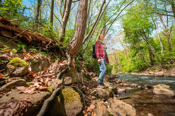 Hiking at Laurelville