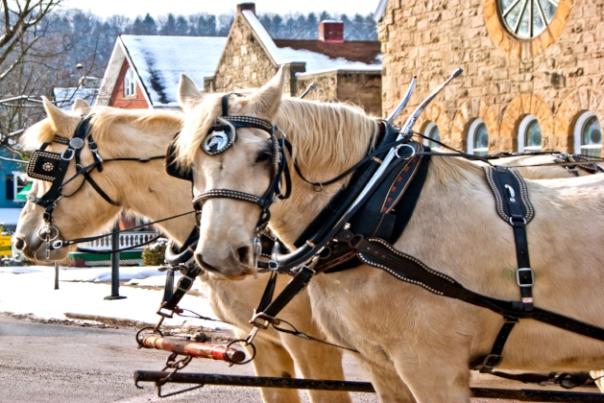 Winter Wonderland Blog