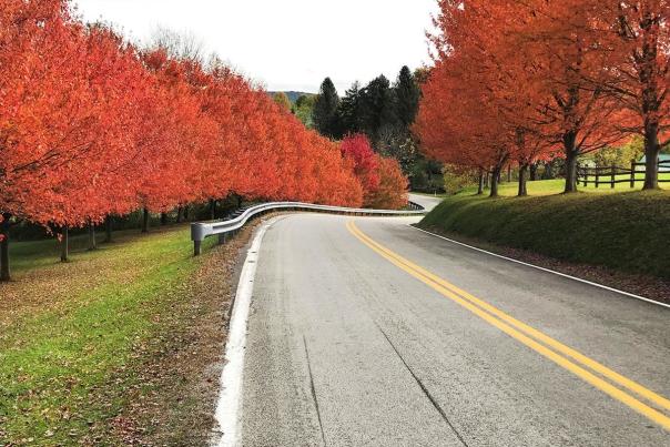 Fall foliage makes its way to Pennsylvania
