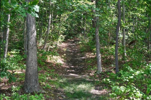 49 of the best hiking trails in the US to visit in your lifetime