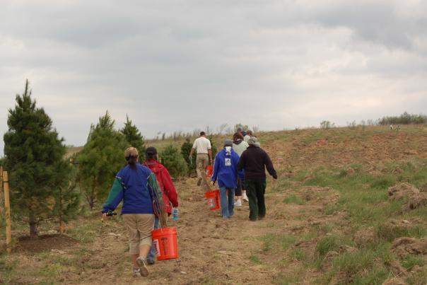 Plant a Tree at Flight 93