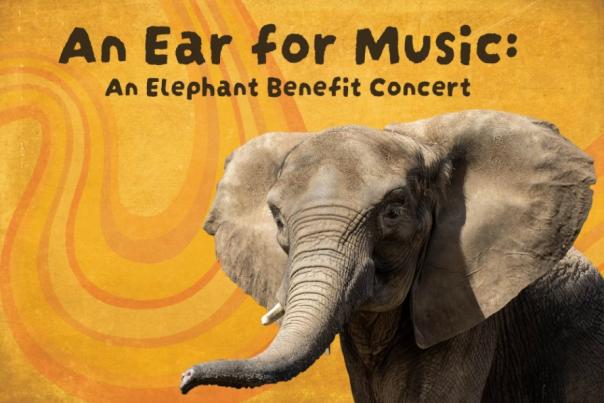 The International Conservation Center will host a benefit concert in honor Tsuni, the beloved elephant calf who died from EEHV.