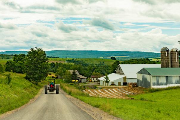 Carol Saylor, Elk Lick Township, Somerset County, Amish
