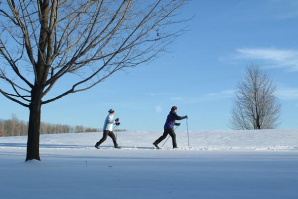 Cross-Country Skiing