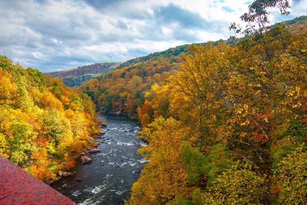 Fall in the Laurel Highlands