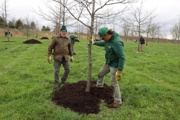 Two arborists mulching a tree in the Memorial Grove at the Flight 93 National Memorial near Shanksville.