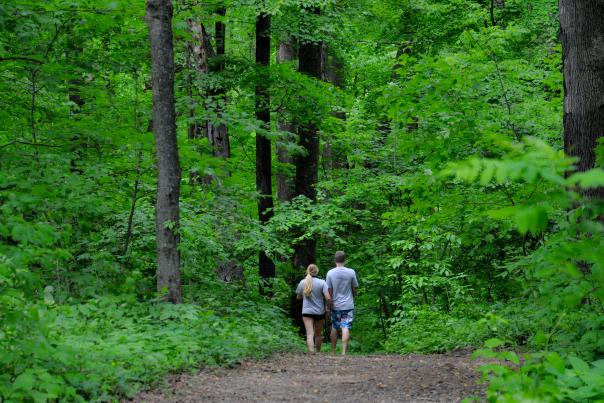 Hiking