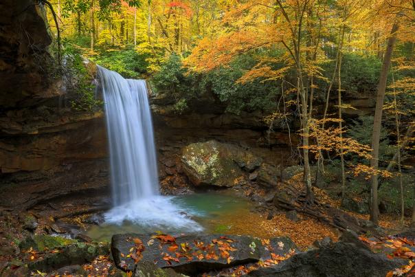 Linda Seanor Cucumber Falls