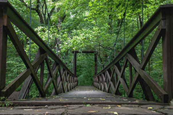 Conservation Heroes of the Laurel Highlands