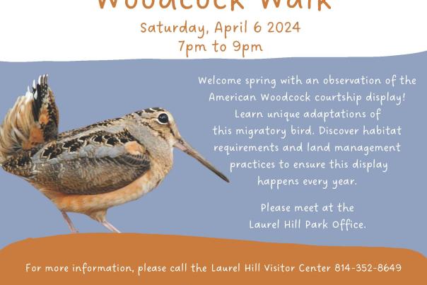 Laurel Hill State Park will host a woodcock walk from 7-9 p.m. on Saturday, April 6.