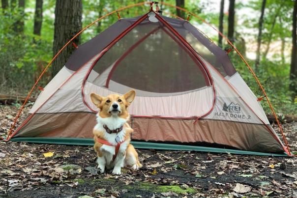Camping Forbes State Forest