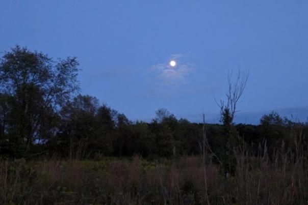 Forbes State Forest Harvest Moon Hike
