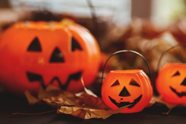 Pumpkin: Trick or Treat