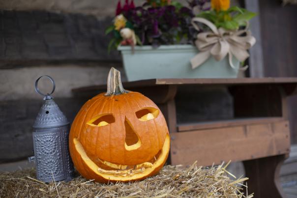 Pumpkin